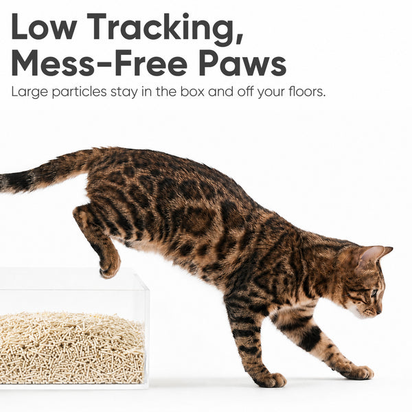 FUKUMARU Tofu Cat Litter, 18lb - Unscented & Fragrance Free, Ultra Fast Clumping, Superior Odor Control, Low Dust, Natural Flushable Plant-Based Pellets, 6lb x 3 Bags