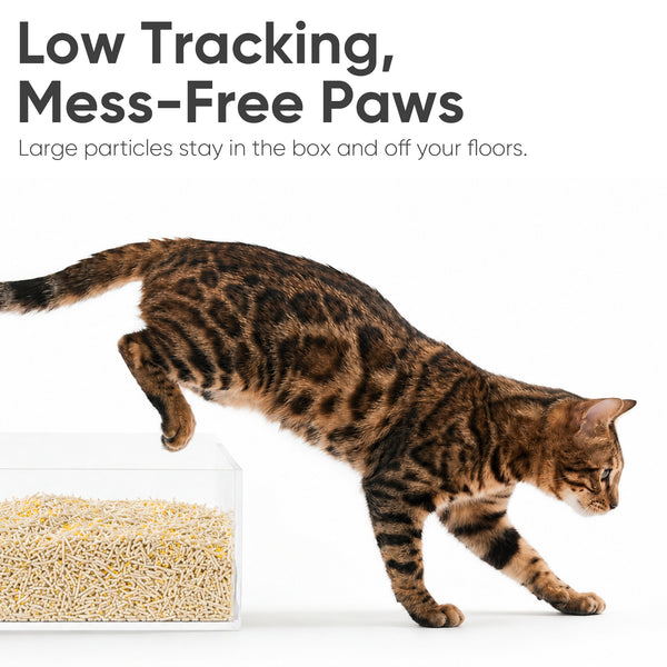 FUKUMARU Tofu Cat Litter with Millet, 18lb Plant-Based Corn & Starch Cat Litter, Superior Solid Clumping, High Absorbency, Low Dust Flushable Pellets, 6lb x 3 Bags