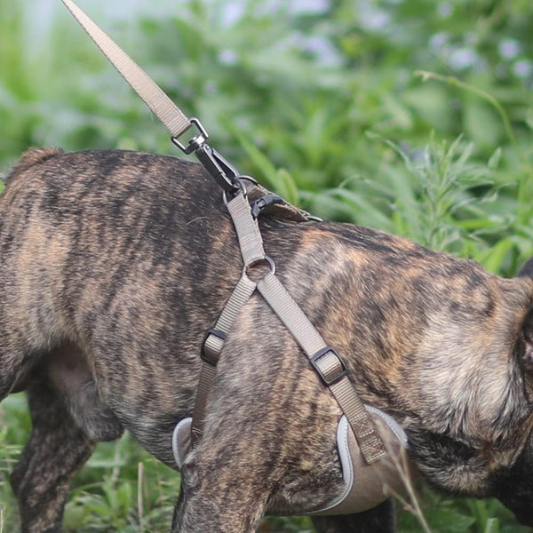 FUKUMARU Step-in Dog Harness, Cat Harness Escape Proof