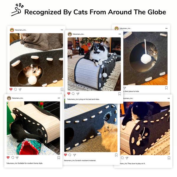 FUKUMARU Cat Beds for Indoor Pets, 31.5 Inches - FUKUMARU