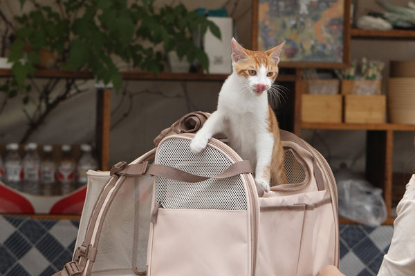 FUKUMARU Cat Backpack Carrier with 4 Pockets for Nervous Cat Airline Approved - FUKUMARU