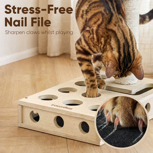 Why Quality, Testing, and Thoughtful Design Matter in the Pet Products You Choose