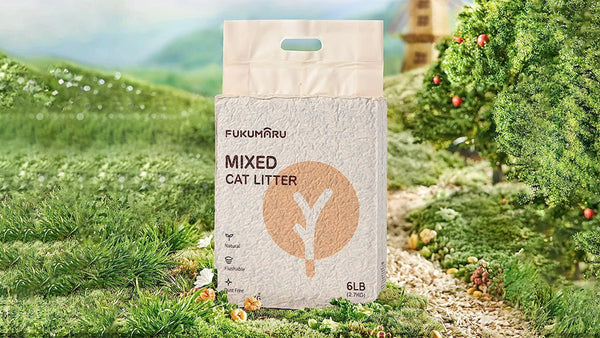 How to Choose the Right Cat Litter for Your Cat and Improve Their Comfort - FUKUMARU