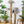 FUKUMARU Cat Tree, 5 in 1 Cat Tower for Indoor Cats, 155cm Tall, 4 Levels, 6 Scratching Posts, Detachable Cushions, Hammock & Perch for Large Cats