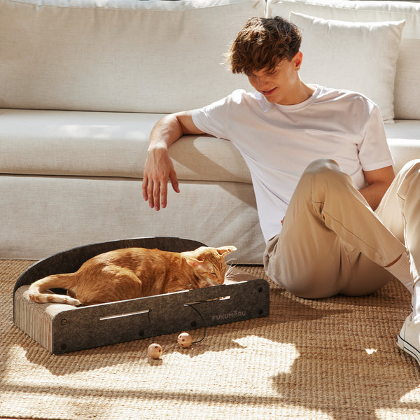 Cardboard Cat Scratcher with 2 Reversible Scratch Pad Refills, Durable Large Cat Scratching Lounger with Ball Toy, Grey