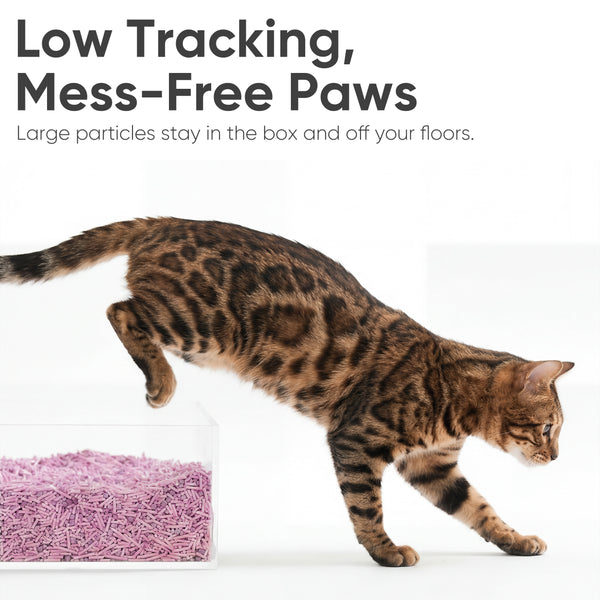 FUKUMARU Tofu Cat Litter, 12lb - Lavender Scent, Firm Clumping, Natural Odor Control, Low Dust, Flushable Plant-Based Pellets