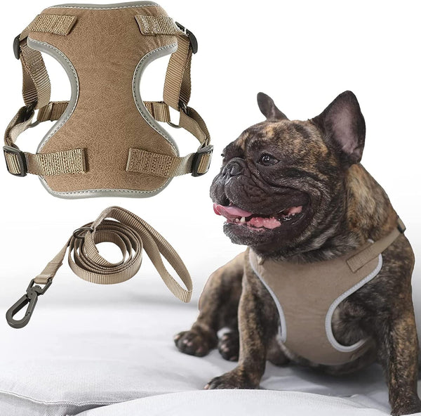 FUKUMARU Step-in Dog Harness, Cat Harness Escape Proof