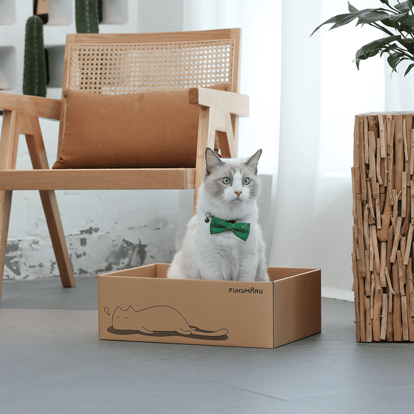 FUKUMARU 5 PCS Cat Scratching Boards, 11.4 Inch Width Ex-Large - FUKUMARU