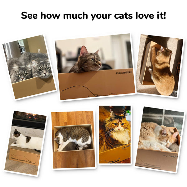 FUKUMARU 5 PCS Cat Scratching Boards, 11.4 Inch Width Ex-Large - FUKUMARU