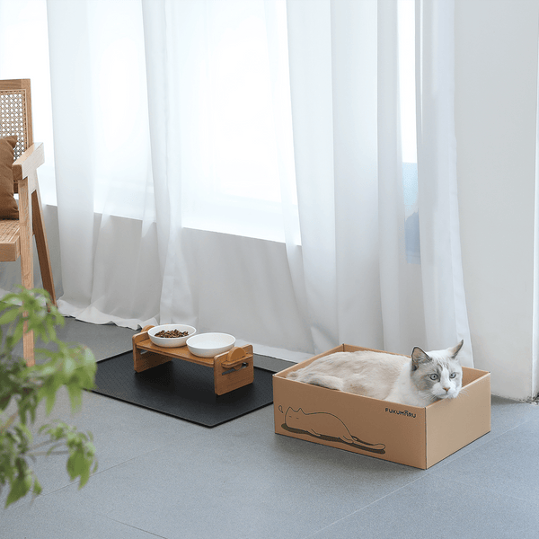 FUKUMARU 5 PCS Cat Scratching Boards, 11.4 Inch Width Ex-Large - FUKUMARU