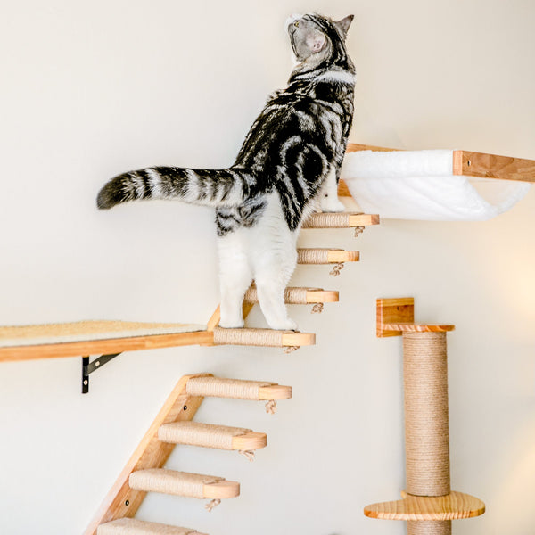FUKUMARU Cat Climbing Shelf Wall Mounted - Left to Right - FUKUMARU
