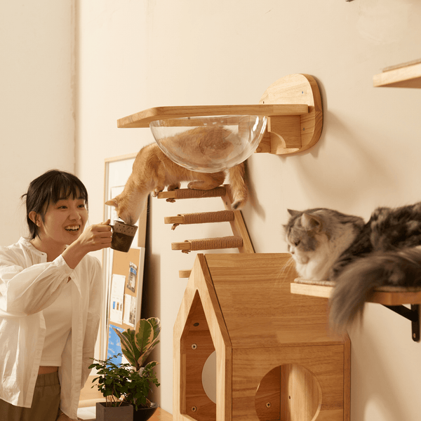 FUKUMARU Cat Climbing Shelf Wall Mounted - Right to Left - FUKUMARU