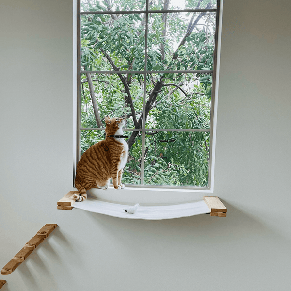 FUKUMARU Cat Wall Furniture, 34 x 13 inch Cats Hammock Shelves, - FUKUMARU