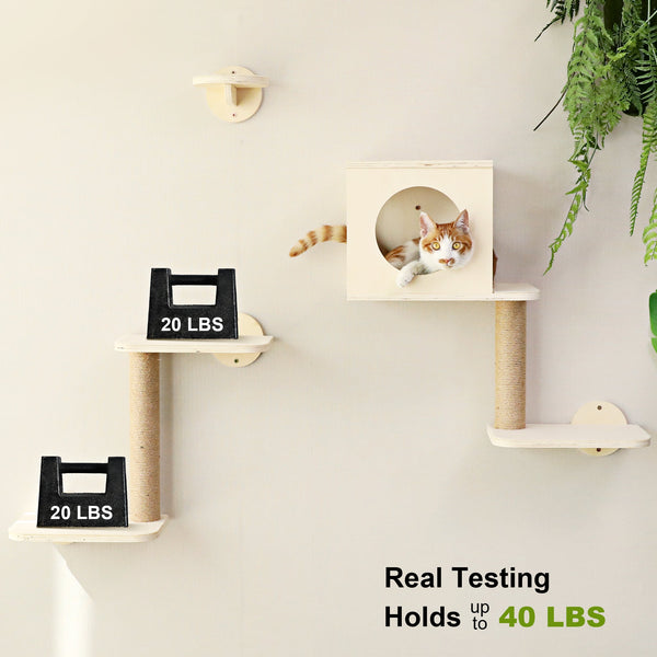 FUKUMARU Cat Wall Shelves, 5 - Piece - FUKUMARU