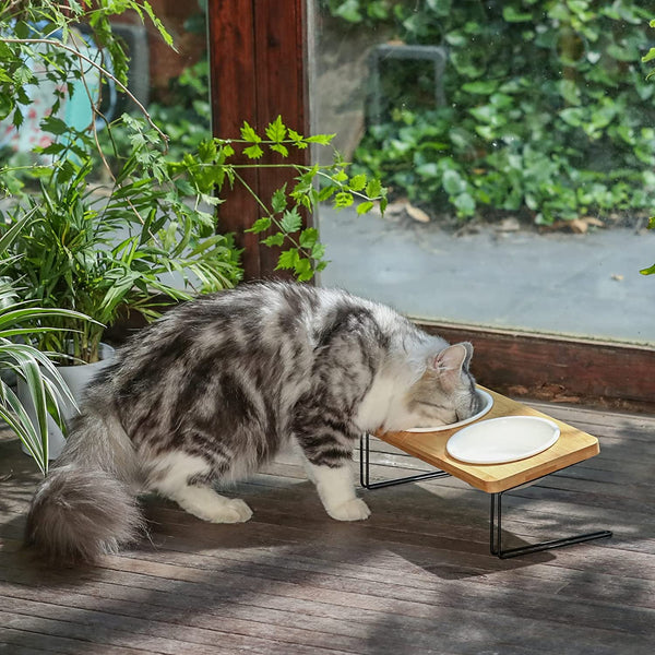 FUKUMARU Elevated Cat Ceramic Bowls, Small Dog 15° Tilted Raised Food Feeding Dishes - FUKUMARU