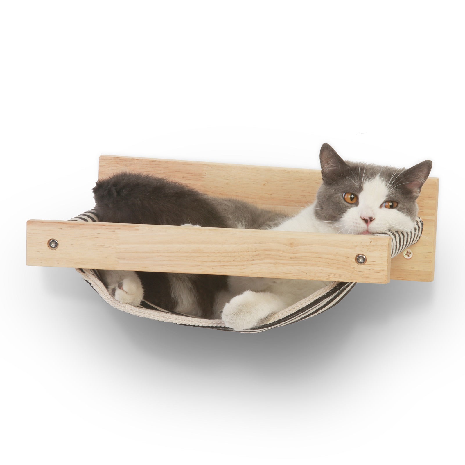 Kattenmeubel Wand FUKUMARU Kattenbrug Aan De Muur – Breed 32,5 Cm, Klimplank Voor Katten, DIY Kattensnelweg Kattenmeubel Wand FUKUMARU Kattenbrug Aan De Muur – Breed 32,5 Cm, Klimplank Voor Katten, DIY Kattensnelweg