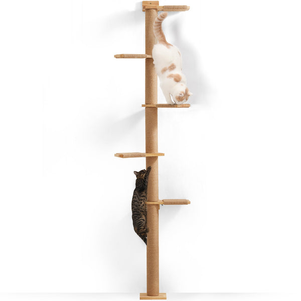 FUKUMARU Tall Cat Tree, 5 Tier Floor - FUKUMARU